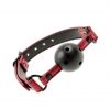 Fetish Submissive Ball Gag